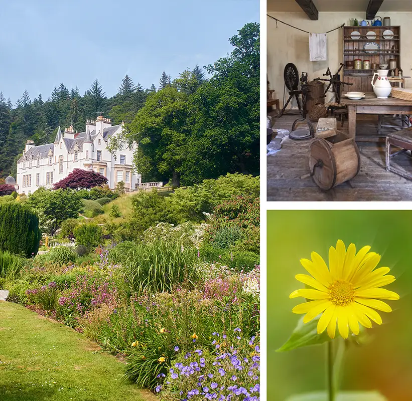 Logie Steading Photography Walks