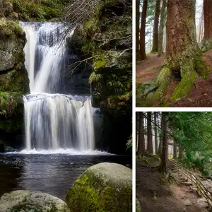 landscape workshops