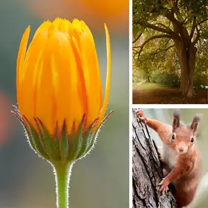 beginner photography course