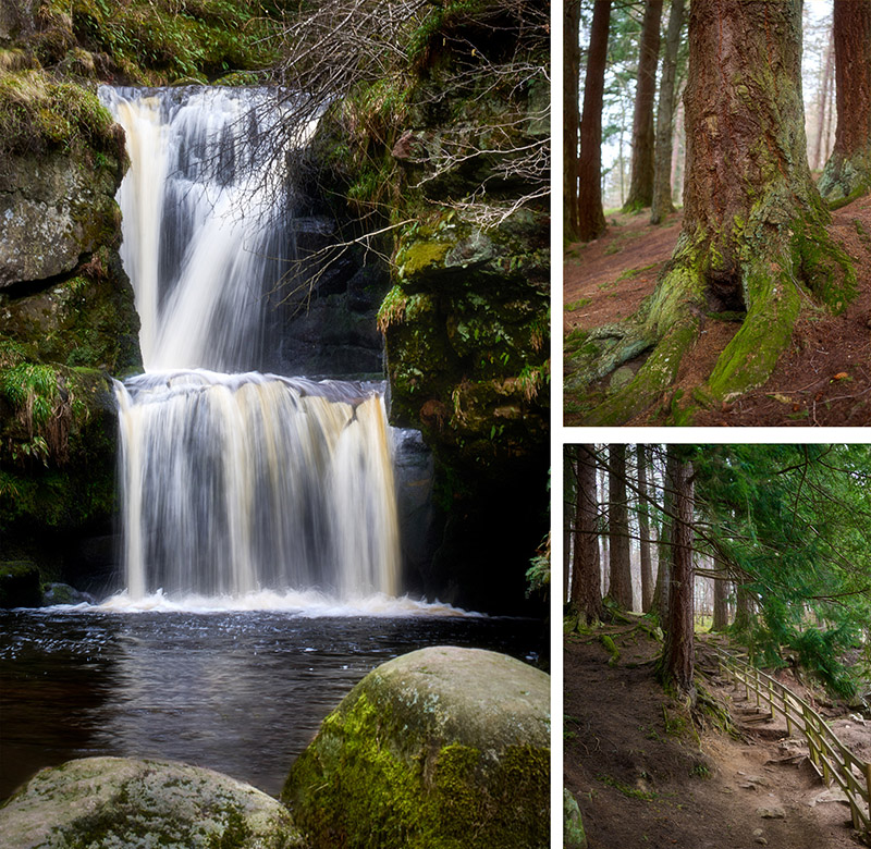 landscape workshop aberlour